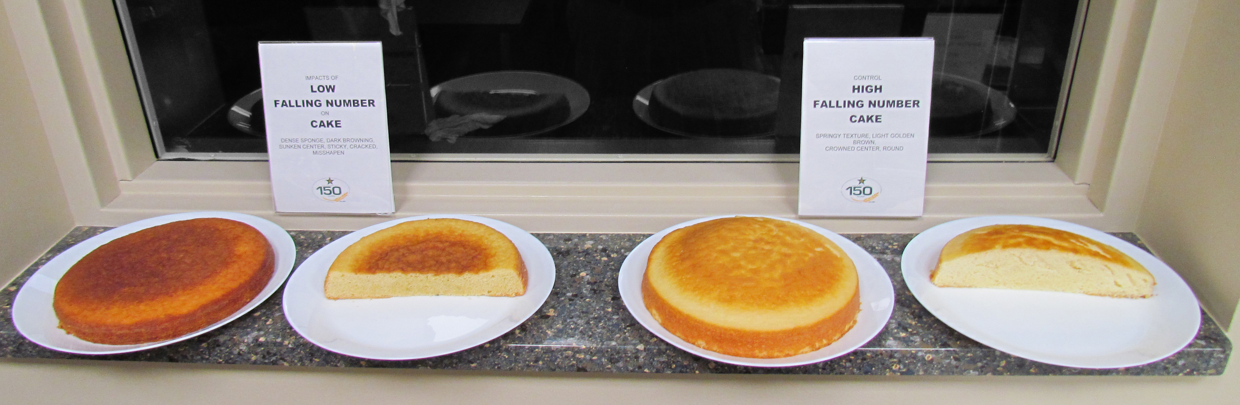 For different cakes on plates, showing examples of what low and high falling numbers look like when baking a cake.